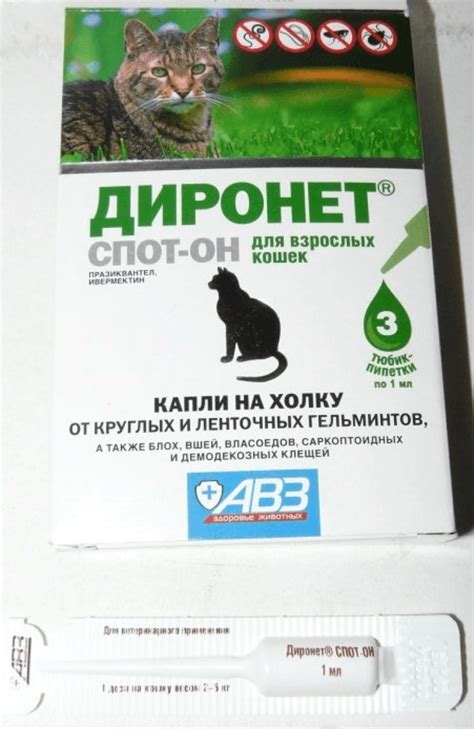 Диронет для кошек (капли Спот-он, таблетки, суспензии): инструкция по ...