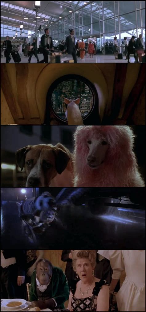 Babe El Cerdito En La Ciudad 1998 DVDrip Latino Comedia