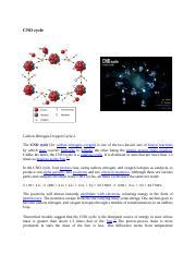 CNO Cycle Docx CNO Cycle Carbon Nitrogen Oxygen Cycle 1 The CNO Cycle