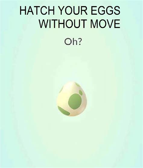 Pokemon Go 10K Egg Hatching service, hatch your egg without move