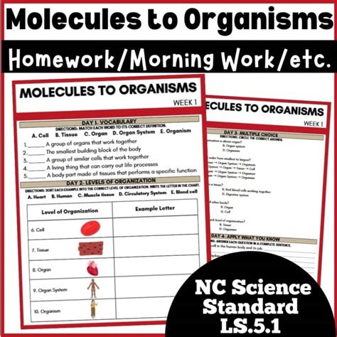 Biology For 5th Grade Worksheets Homework Sheet