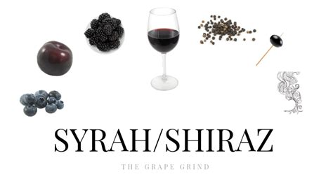 All You Need To Know About Syrah A Quick Guide The Grape Grind