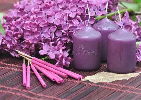 Lilac parfum stock afbeelding. Image of decor, versheid - 31106247