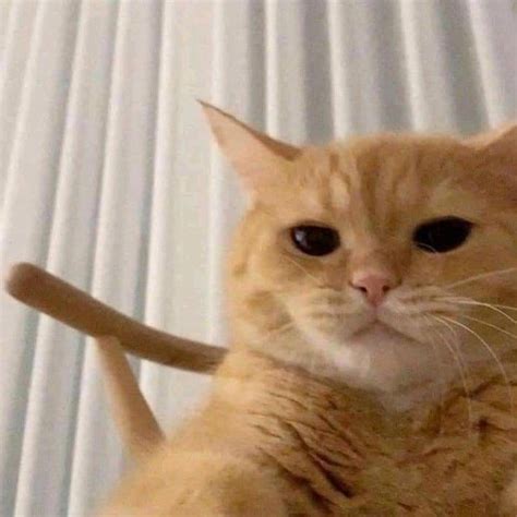 Stream Mashup Nhạc Trẻ Xưa x x Hot Tiktok Minh Anh by meof Listen online for free on SoundCloud