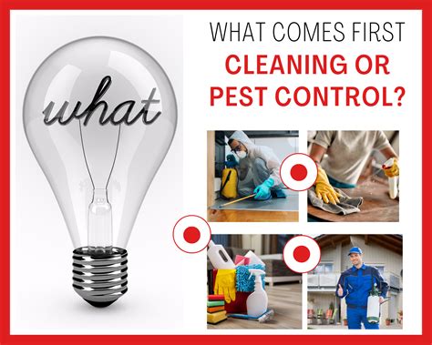 WHAT COMES FIRST, CLEANING OR PEST CONTROL 