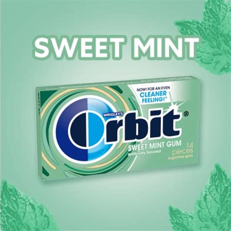 Orbit Sweet Mint Sugar Free Chewing Gum Pack 3 Pk 42 Ct Smiths