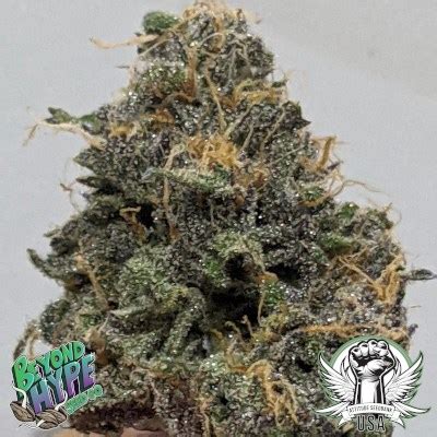 The Attitude Seedbank USA - Regular Cannabis Seeds