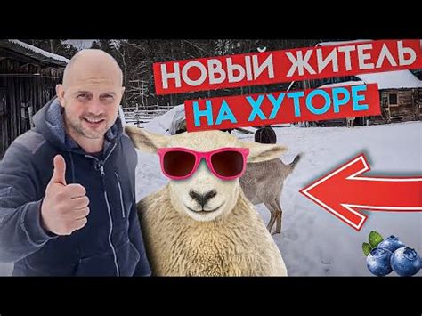 Что выберет Белка : собачий корм или овёс ?Поехали в город покупать ...