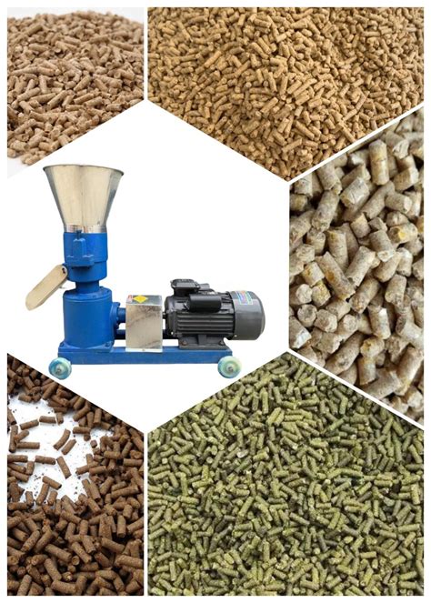 Automatic Wood Pelletizer Biomass Sawdust Pellet Ce Approved Wood