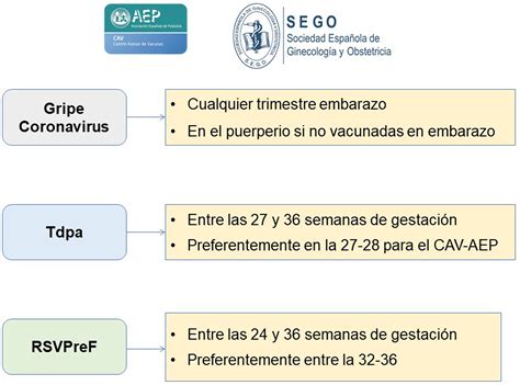 Vacunación en el embarazo. Documento de consenso del CAV-AEP y la SEGO
