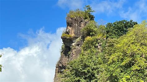 An Aerial View Of Gorilla Rock St Vincent And The Grenadines Youtube