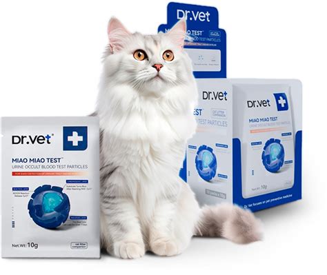 PETKIT Moldova - Tehnologii inovatoare pentru animalele dvs. de companie