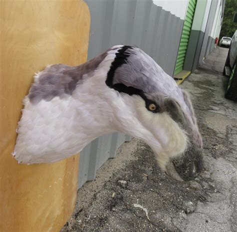 Deinonychus Raptor Bust Faux Taxidermy Head Mount Etsy