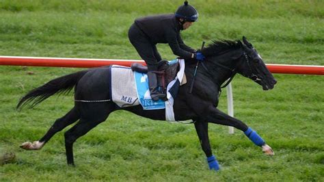 Test for Bande, Dandino out | The Courier | Ballarat, VIC