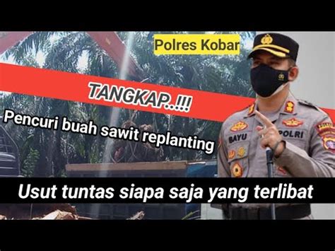 Kalimantan Tv Polres Kotawaringin Barat Tahan Unit Truck Pencuri Buah