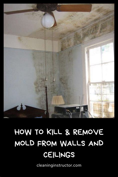 10 Tips For Removing Mold And Mildew Artofit