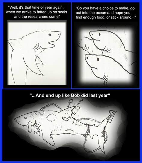 Great White Shark Videos, Documentaries, Blogs, News, Shark Shirts