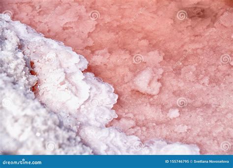 This Is The Salt Of The Desert Stock Image Image Of Desert Desertn