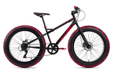 Купить НЕМЕЦКИЙ МТБ ВЕЛОСИПЕД FATBIKE SNW2458 ДИСКИ 24 дюйма: отзывы ...