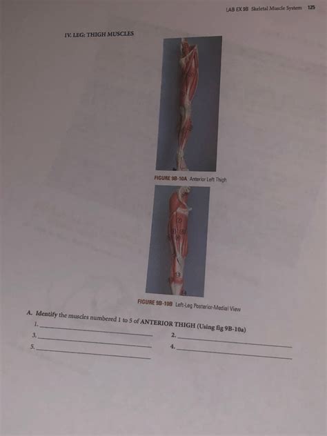 Solved III. Lab Activity 10-1: Identification of Nerve | Chegg.com