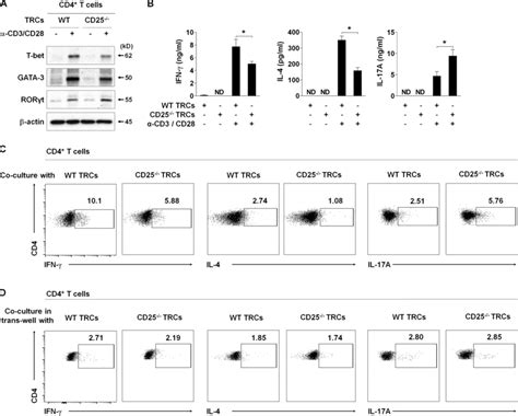 CD25 Deficiency On TRCs Promotes In Vitro Th17 Differentiation