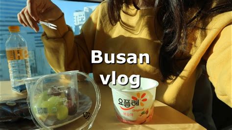 거의 해운대에만 있었던 1박2일 부산여행ㅣbusan Vlog Youtube