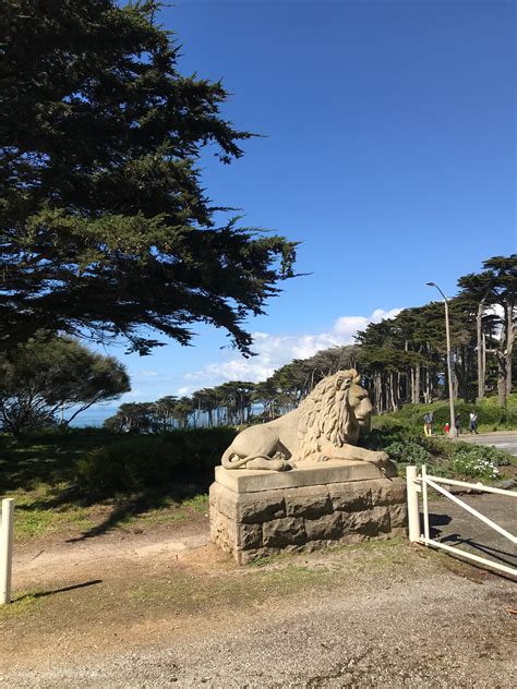 Guide to Lands End Hiking Trail in San Francisco with Kids – What to