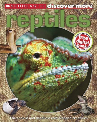 Discover More Reptiles Scholastic Shop