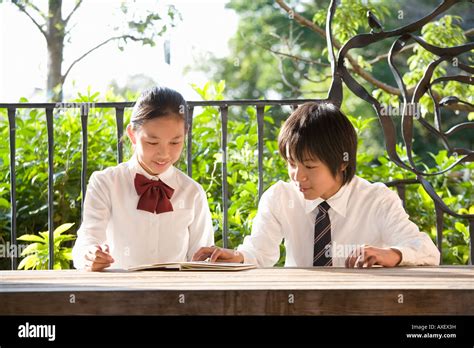 School Children Studying Stock Photo Alamy