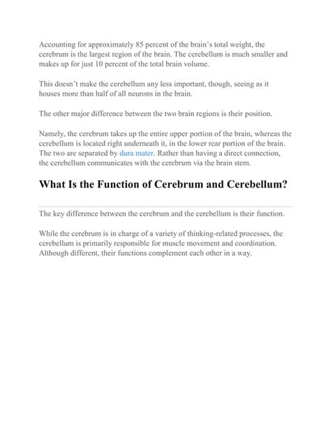 Cerebrum vs cerebellum