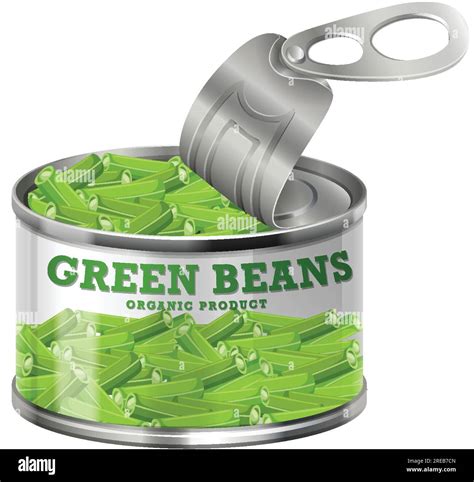 Green Beans Food Can Vector Illustration Stock Vector Image And Art Alamy