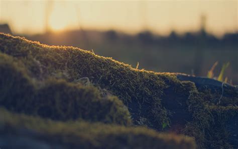Gambar Pemandangan Alam Blur Terbaru Pemandangan33
