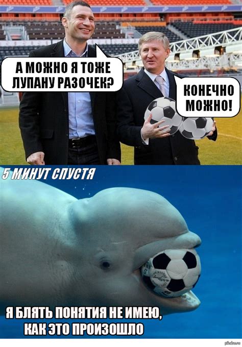 Лупанул | Пикабу