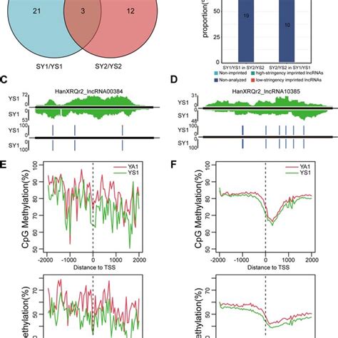 Identification And Characterization Of Long Non Coding Rnas Lncrnas