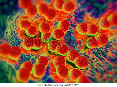 3d Rendering Neisseria Gonorrhoeae Bacteria Stock Illustration 640967425