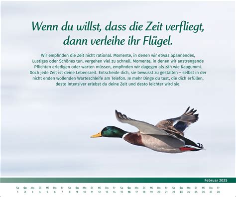 Kalender PAL Der Lebensfreude Inspirationen Kalender 2025 Online Kaufen