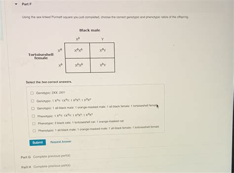 Solved Part F Using The Sex Linked Punnett Square You Just Completed Course Hero