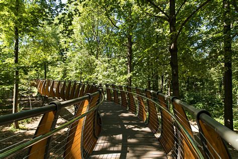 Экотропа на ВДНХ