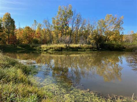 Headwaters Property in Big Ravine Watershed Permanently Protected ...