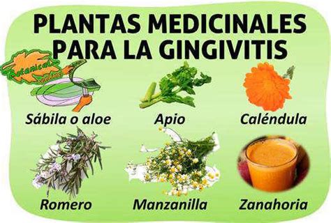 Infeccion E Inflamacion Encia Tratamiento Natural Top Sellers