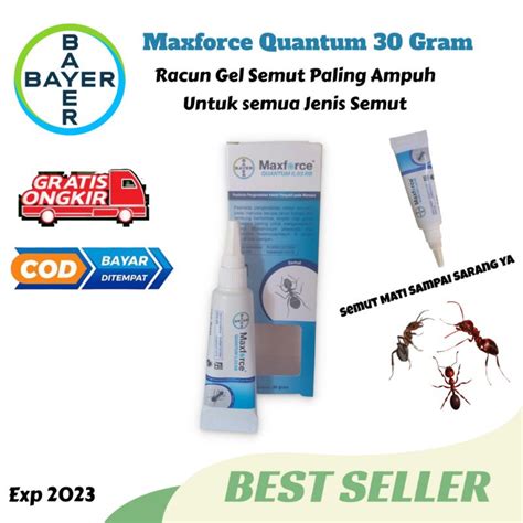 Jual Racun Semut Gel Maxforce Quantum 30 Gram Produk Bayer Shopee