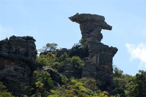Monte Alegre Mutinga - Parque Estadual Monte Alegre é escolhido como patrimônio cultural ...