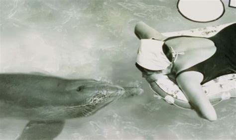 Woman Performed Sex Acts On Dolphin And Claims It Seduced Her Before Committing Suicide Us