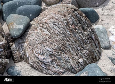 Amygdaloidal Basalt With Zeolites Murlough Bay Northern Ireland Uk