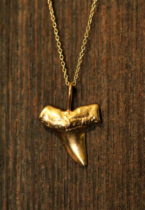 Shark tooth necklace, gold shark tooth pendant, beach necklace, a 14k