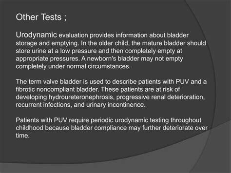 Posterior Urethral Valve Ppt