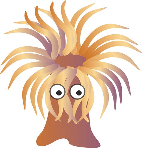 Free Sea Anemone Cliparts Download Free Sea Anemone Cliparts Png