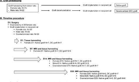 Figure From Sex Related Differences In Wall Remodeling And Intraluminal Thrombus Resolution In