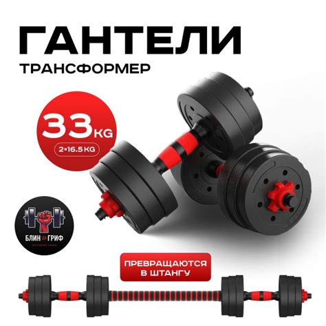 Гантели БЛИН-да-ГРИФ разборные для фитнеса 2024, 2 шт. по 16.5 кг ...