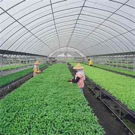 Polycarbonate Greenhouse Sheet at best price in Hyderabad by A. S ...